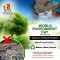 World Environment Day