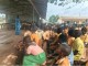 Krachi East Celebrates Citizenship Week with Strong Emphasis on Youth Values and Environmental Action