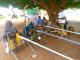 NCCE Engages Kente Weavers in Dangbe on Constitutional Values