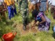 KWAHU EAST MARKS WORLD ENVIRONMENT DAY WITH TREE PLANTING EXERCISE AND CLIMATE ACTION EDUCATION